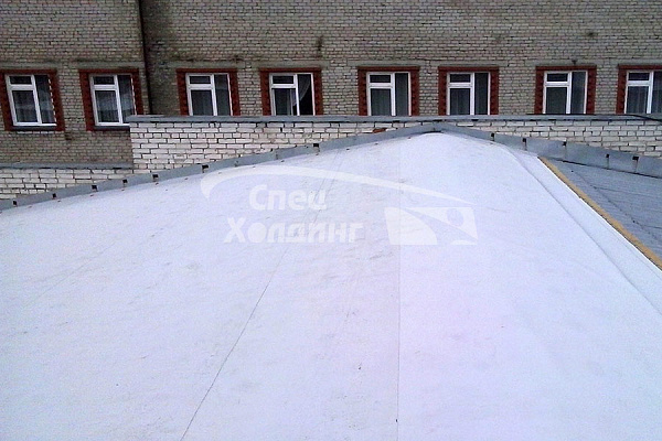 Владимирская областная научная библиотека